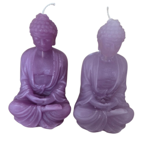 Budha in meditatiehouding
